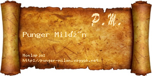 Punger Milán névjegykártya
